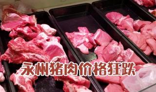 现在的猪价多少钱一斤