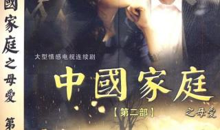 中国家庭之母爱全集
