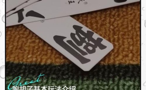 3分钟教程“皮皮跑胡子开挂神器通用版”(详细透视教程)