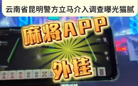 真实辅助“兴动麻将APP破解万能挂”果然有挂