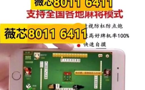 真实辅助“天天贵阳麻将开挂神器怎么买”果然有挂