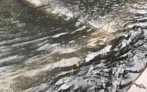 深圳进入暴雨防御状态会停课吗 深圳全市进入暴雨防御状态