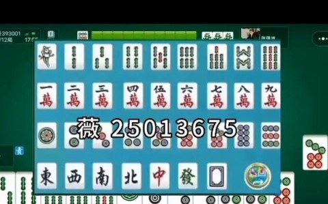 盘点一款“小程序麻将怎么开挂的”果然有挂
