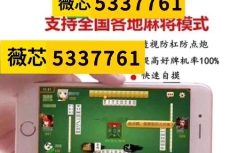 分析实测“微乐陕西麻将开挂怎么买”(详细透视教程)