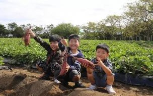 日本一二三区别 日本一二三不卡视频