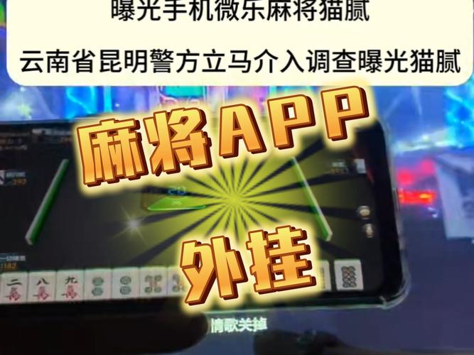 真实辅助“兴动麻将APP破解万能挂”果然有挂
